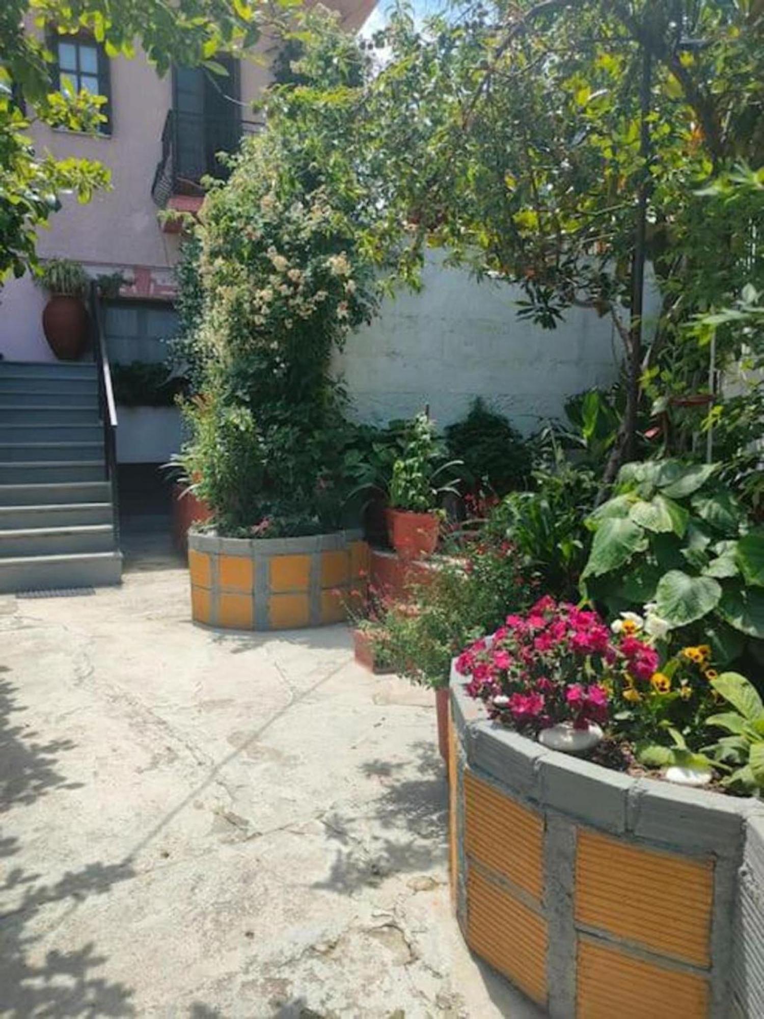 Hara'S House Pelion Apartment Makrirrakhi Exterior photo